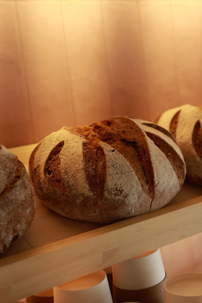 Pan de Masa Madre Semilla 1kg